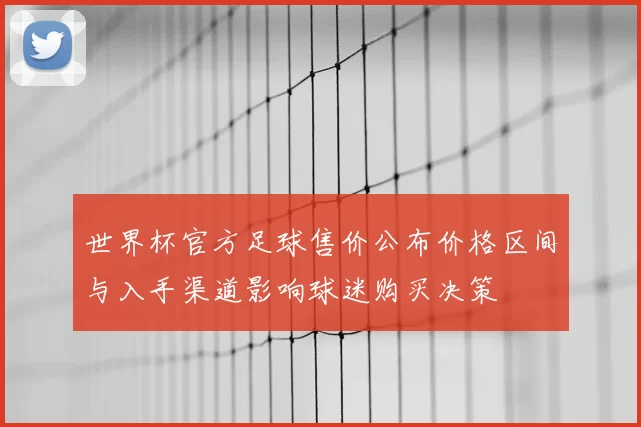 世界杯官方足球售价公布价格区间与入手渠道影响球迷购买决策